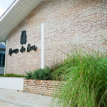 Home De Bear Chiang Mai Luaran gambar